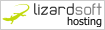 Lizardsoft Hosting